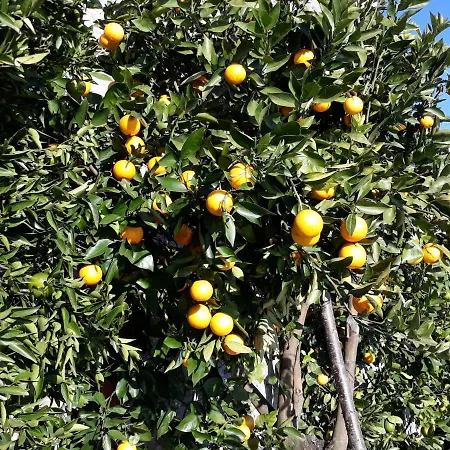 Appartement Casa Ai Castelli